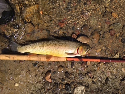 Teton Fly Fishing; a tenkara experience