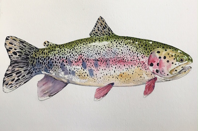 nate bennett watercolor- "fall river rainbow"