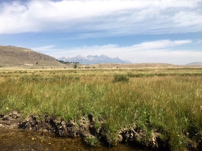 Flat Creek on the National Elk Refuge in Jackson Hole