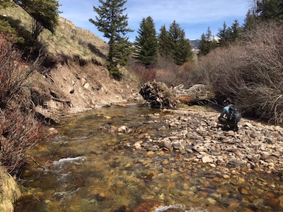 casting into a wyoming small stream