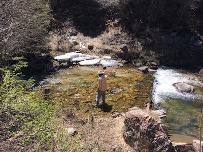 Nate of Teton Fly Fishing on a small Wyoming stream