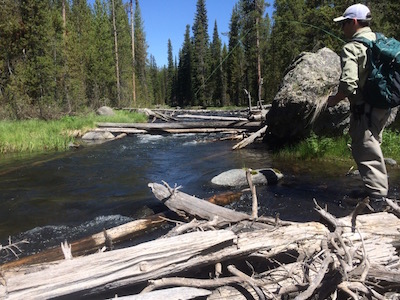 Andrew hooked up with a brown in YNP