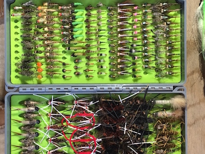 Nymph fly box