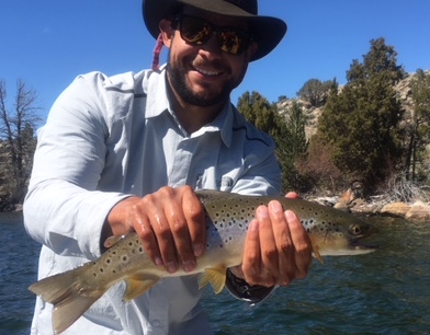 seth and brown trout