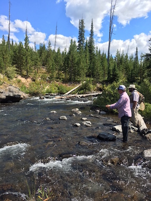 Fly fishing the Yellowstone backcountry