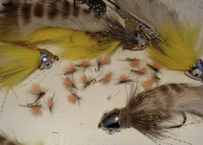 Flies for Teton Fly Fishing