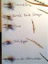 When homesteading and flyfishing collide, how to harvest and preserve your  own hackle and feathers. 