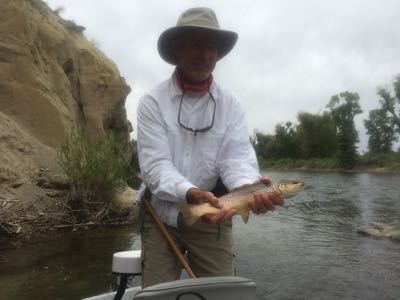 bruce with green brown trout