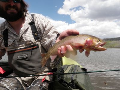   
colorado cutthroat