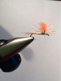 Fly with chili pepper hackle 