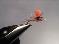 Fly with sharpie colored griz hackle