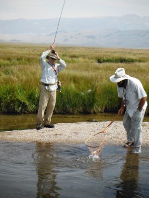 sticking it on flat creek