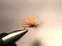 Fly  
tied with cree hackle