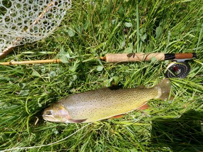 Teton  
Fly Fishing on Flat Creek