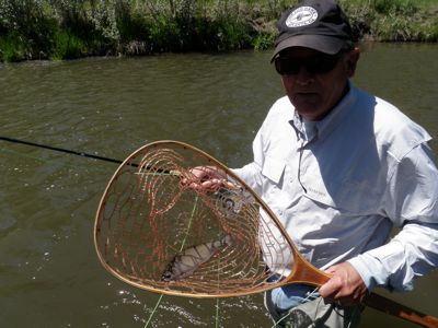 first trout