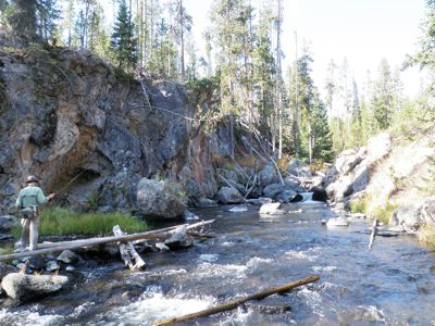 Yellowstone Fly Fishing