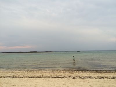 cloudy  
bonefish flat