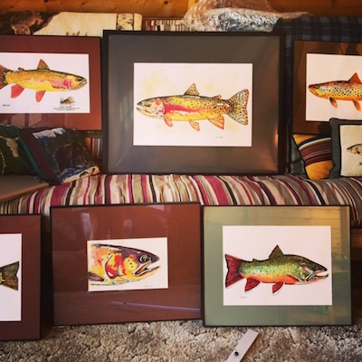 Nate Bennett trout watercolor art