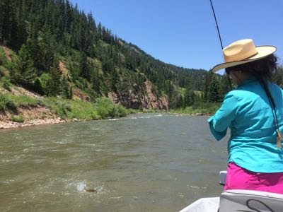 Jamie hooked up on the Hoback river