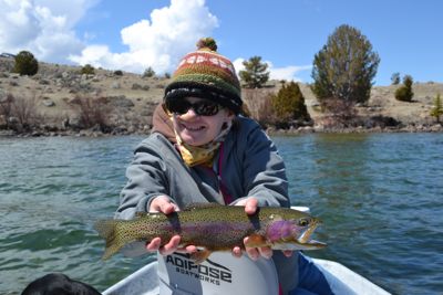 rainbow  
trout