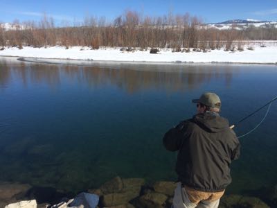 Moose and Fly Fisherman