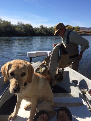 Lulu and Kurt on the Bighorn