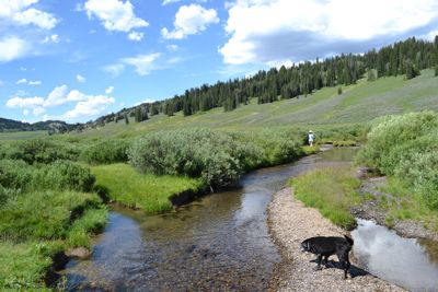 Labarge Creek