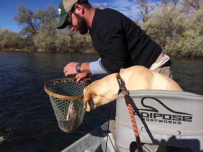 Netting  
a rainbow