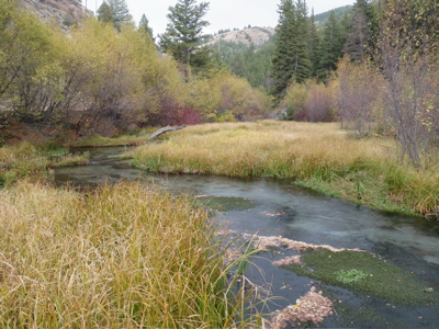 wyoming stream