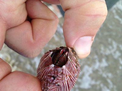 Beach  
find 