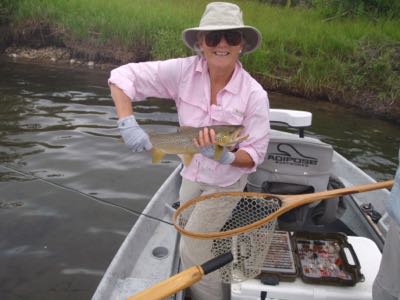 Susan's Brown trout