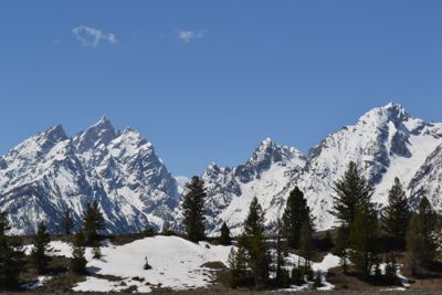 spring in the tetons