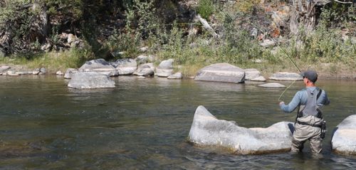Fishing the Upper Wind River