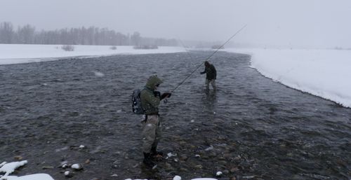 Winter fly fishing in Jackson Hole