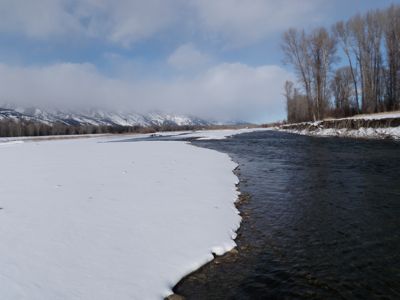 On the winter trout water