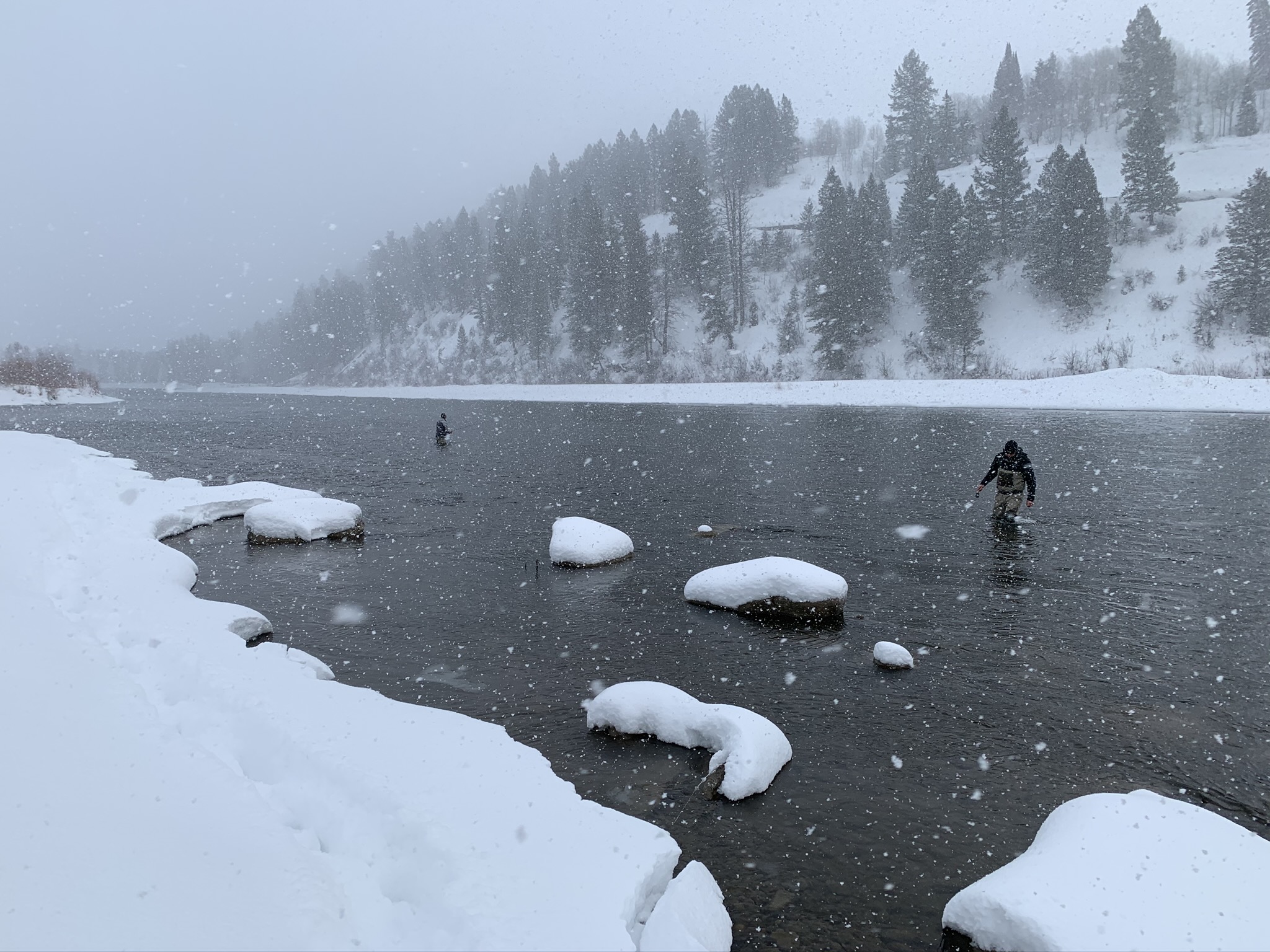 Snake river winter fly fishing