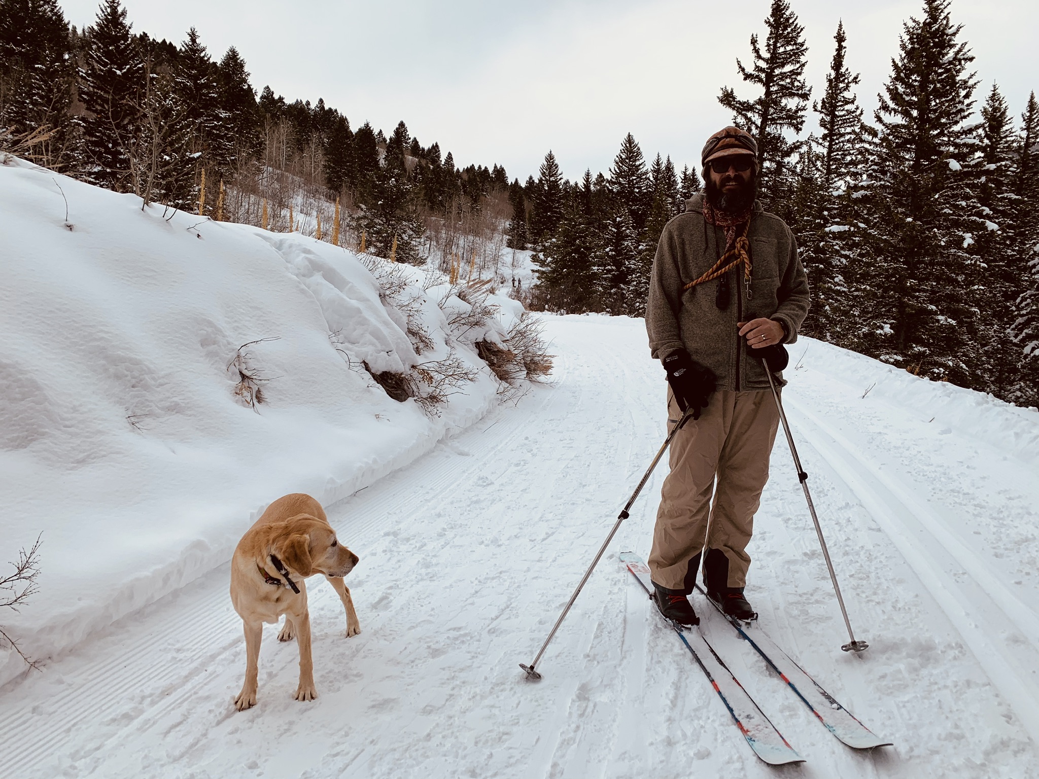 Skiing