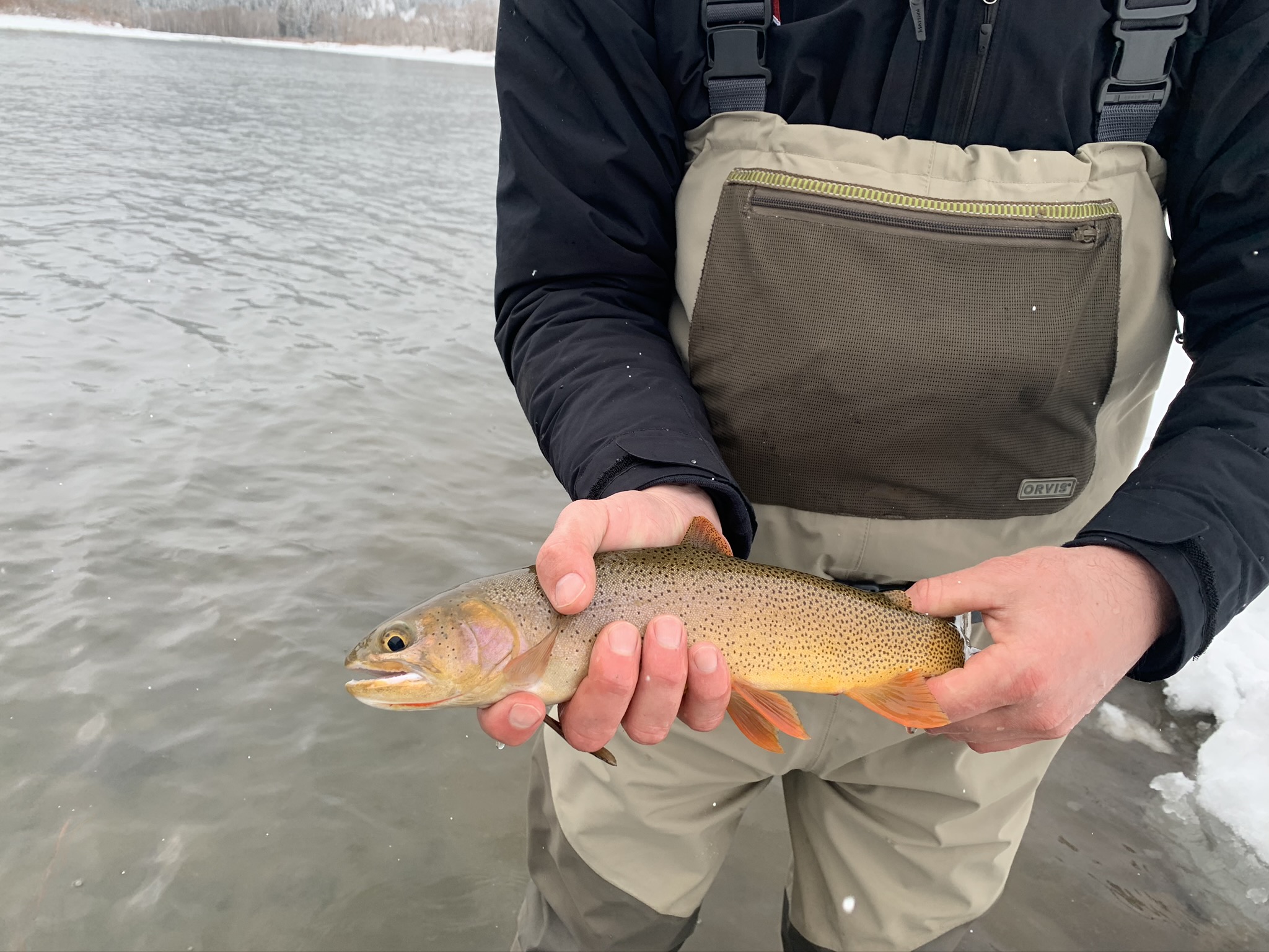 First trout of 2020