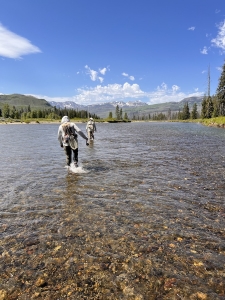 anglers wade fish the backcountry trout waters of jackson hole
