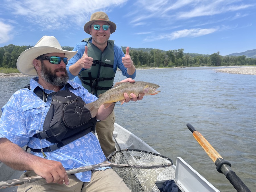 Stoneflies- Understanding the Jackson Hole Fishing Experience