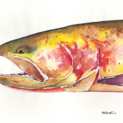 Mr. Cutthroat 14x24" watercolor on paper by Nate Bennett
