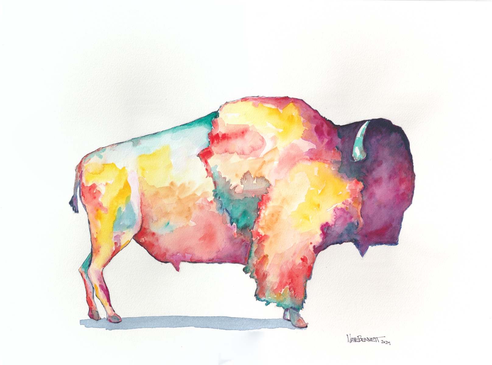 Mighty Bison 11x14" watercolor on paper by Nate Bennett